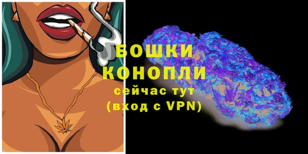 спайс Богданович