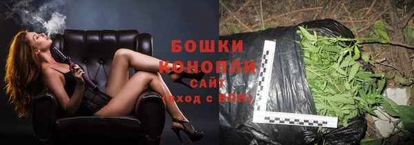 крисы Белокуриха